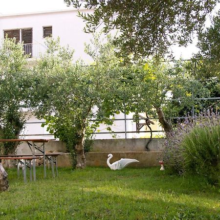 Pepi Apartments 2 Задар Экстерьер фото